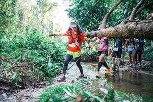 BIB: 
                            <button type="button" onclick="openModal(25469402)" class="btn btn-primary btn-sm float-right btn-popup" data-toggle="modal" data-target=".modal-high-quality">
                        <i class="fas fa-shopping-cart"></i> Add to Cart
                    </button>
                                            <button type="button" onclick="isThisMe(25469402, true)" class="btn btn-success btn-sm float-right btn-popup btn-isme hidden" data-toggle="tooltip" data-placement="bottom" title="นี่คือรูปของคุณใช่ไหม คลิกที่นี่เพื่อเอาเข้าอัลบั้ม">
                        <i class="fas fa-plus"></i> Add to album
                    </button>
                    <button type="button" onclick="isThisMe(25469402, false)" class="btn btn-warning btn-sm float-right btn-popup btn-isnotme hidden">
                        <i class="fas fa-ban"></i> Remove from album
                    </button>